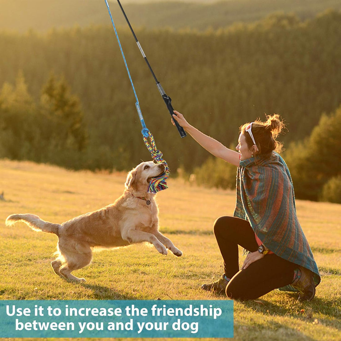 Flirt Pole for Dogs, Interactive Pole for Small Medium Large Dogs