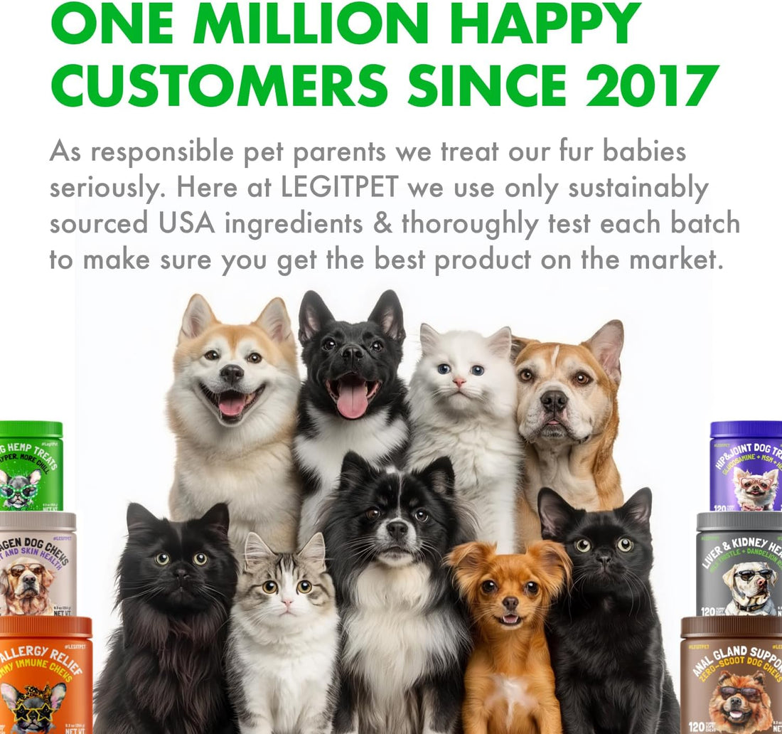 Calming Hemp Treats for Dogs Made in USA Organic Hemp Natural