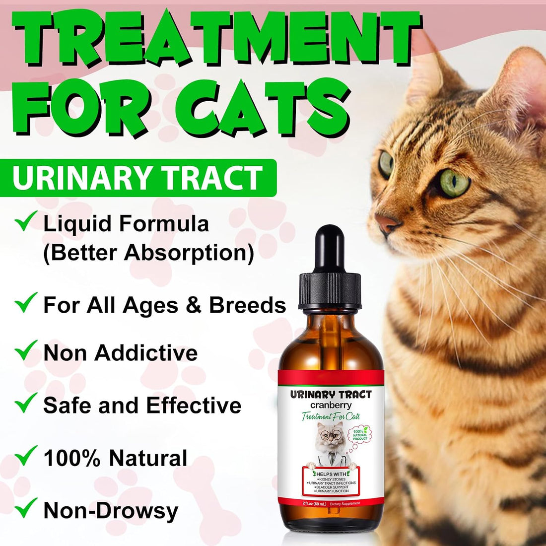 Urinary Tract for Cats, Natural Cat Urinary Tract Infection Treatment
