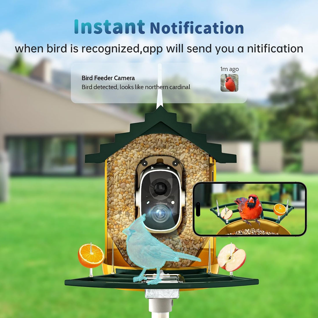 NAVFS Smart Bird Feeder with Camera Solar Powered & AI Bi rd