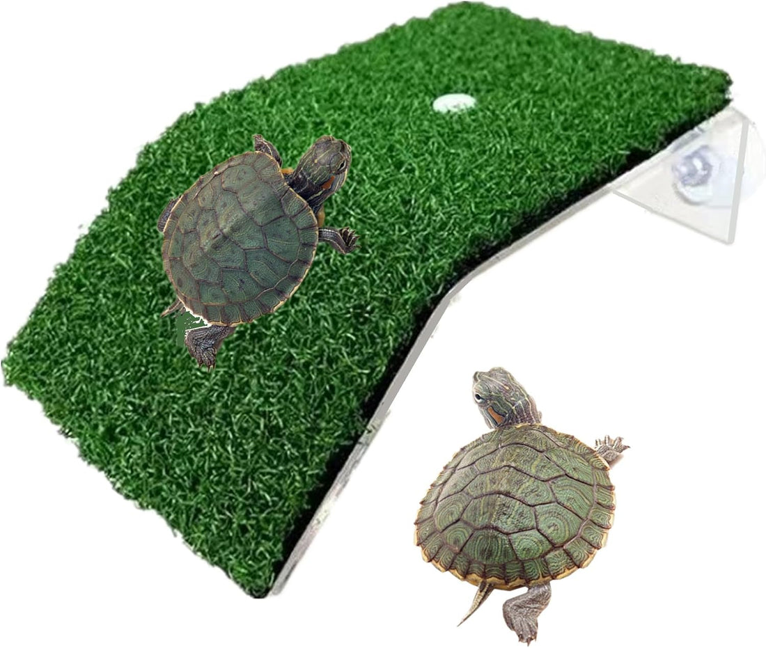 alfyng Small Turtle Resting Basking Platform
