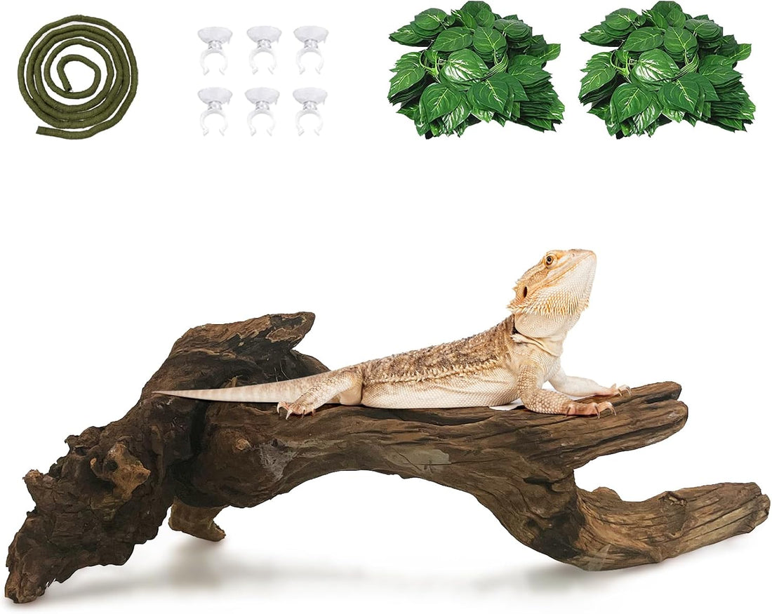 Hamiledyi Bearded Dragon Driftwood for Reptile