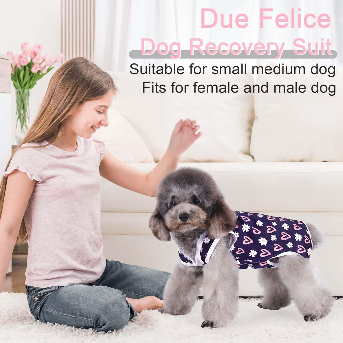 Due Felice Dog Surgery Suit Female Spay Recovery Suit for Dogs