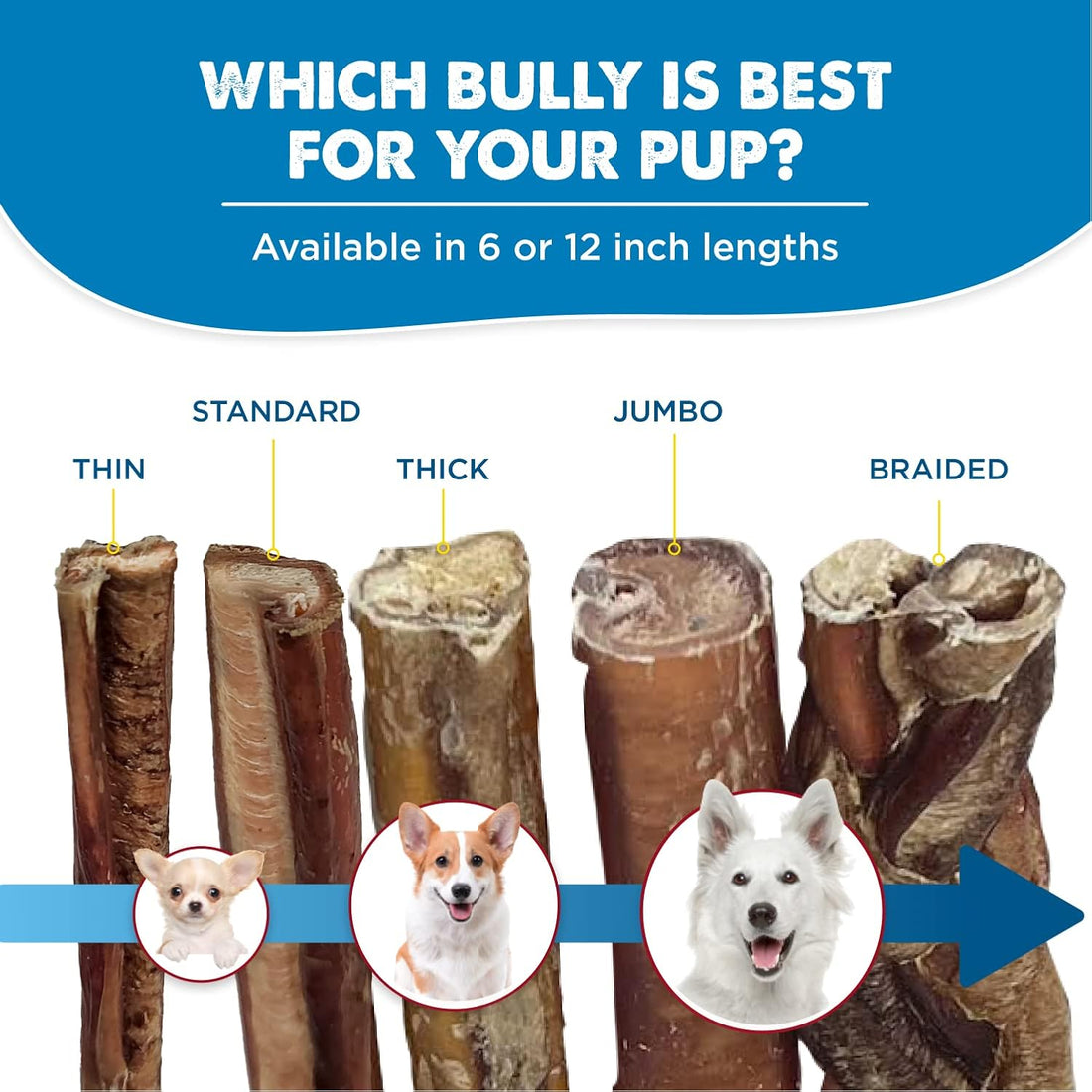Best Bully Sticks Braided Bully Sticks Dog Chews, 12", 3 Count