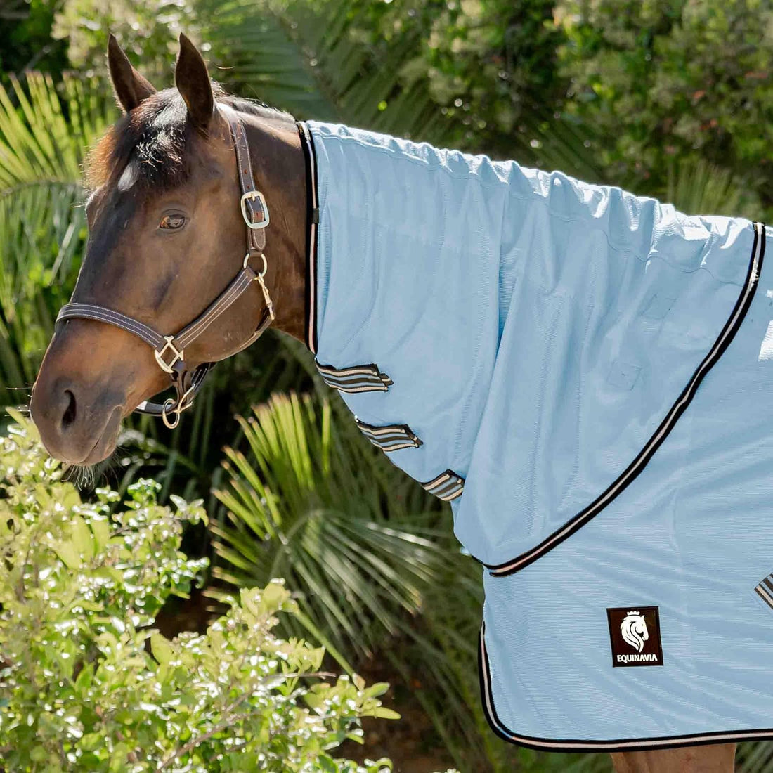 Equinavia Brisk Mesh Horse Fly Sheet with Neck Coverage, UV Protection