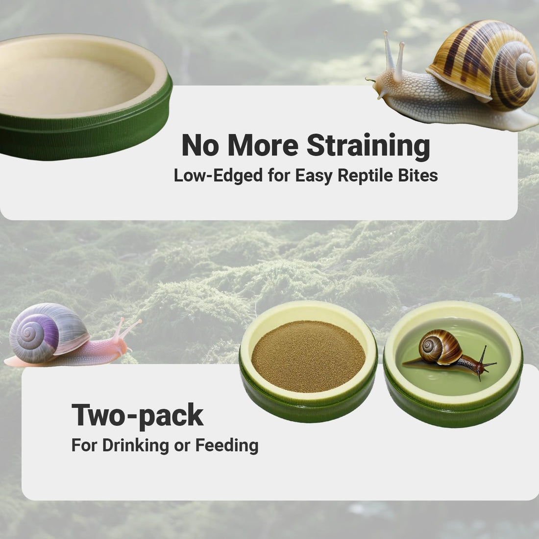 2 Pack Snail Water and Food Bowl，atural Design Food Bowl for Pet