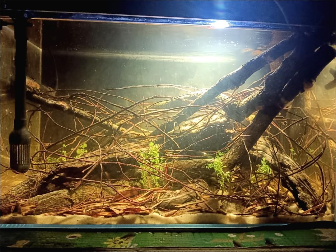 YZHZOM 160g Aquarium Driftwood Roots