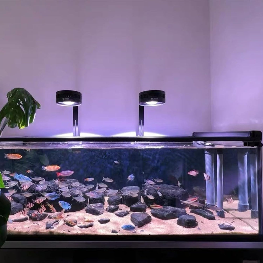Retractable Fish Tank Hoods 30 * 12 or 24 * 12in Fish Tank Lid