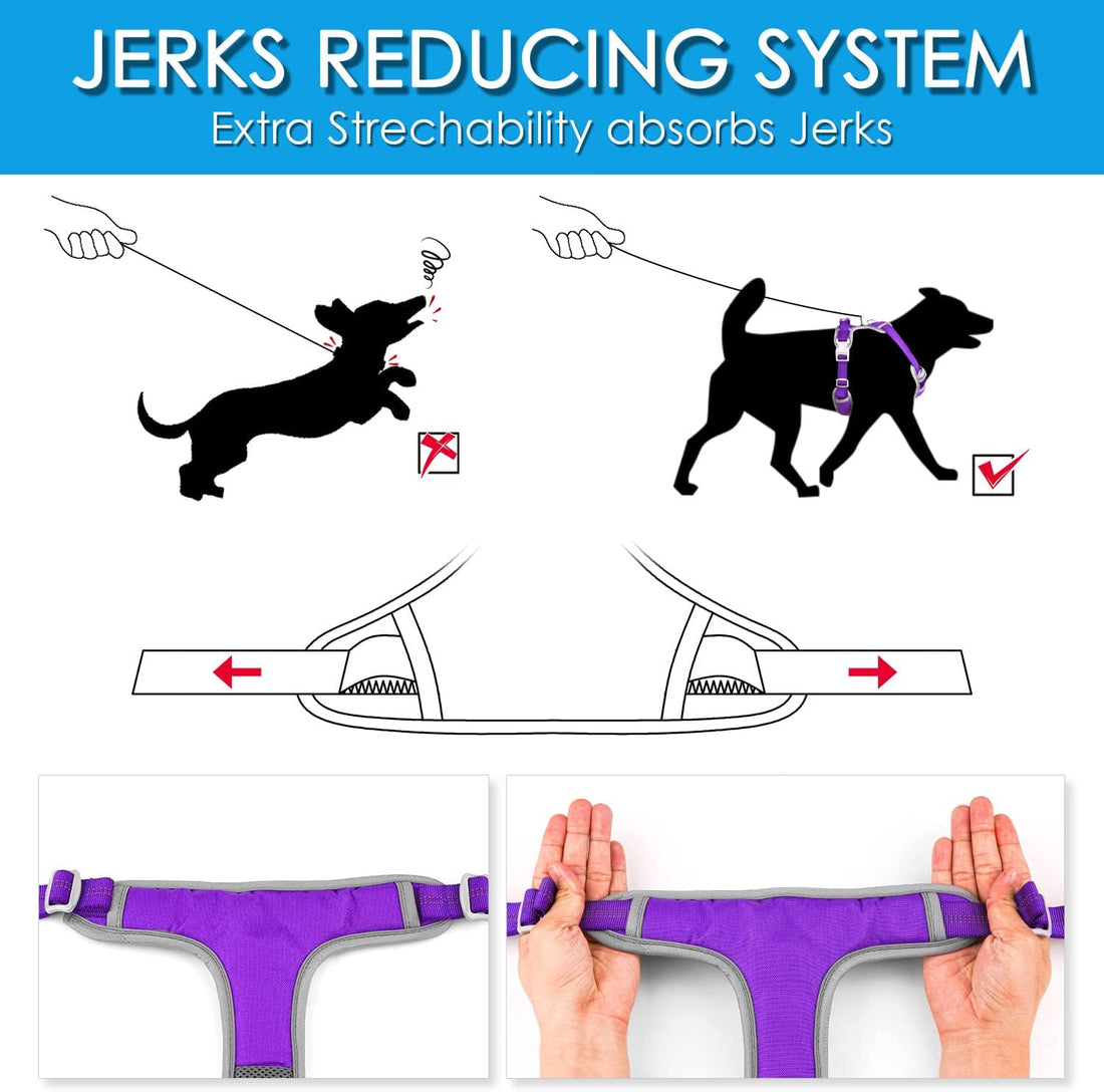 ThinkPet No Pull Harness Breathable Sport Harness with Handle-Dog