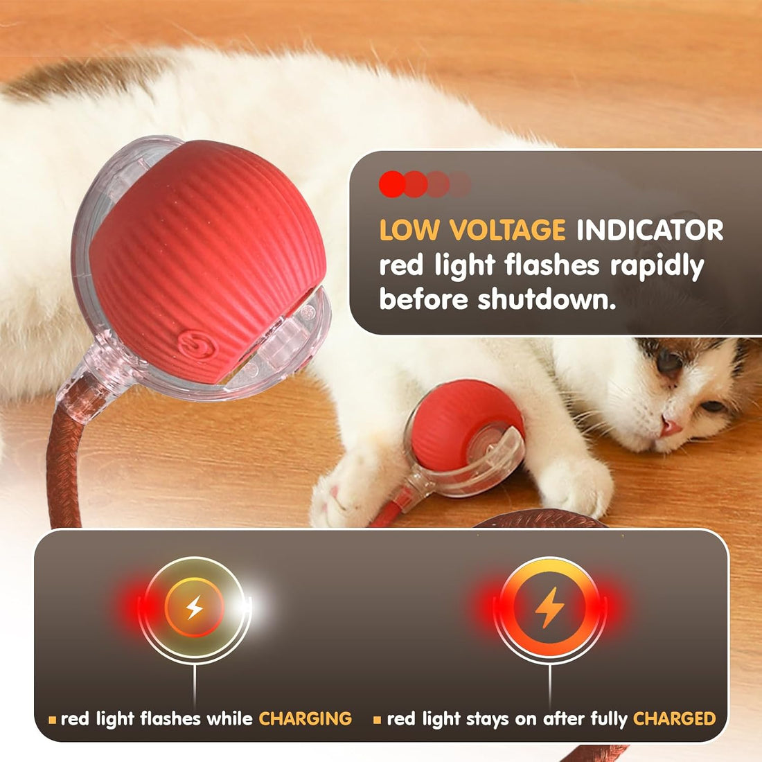 Rocfish Interactive Cat Toys for Indoor Cats, Automatic Cat Ball Toy