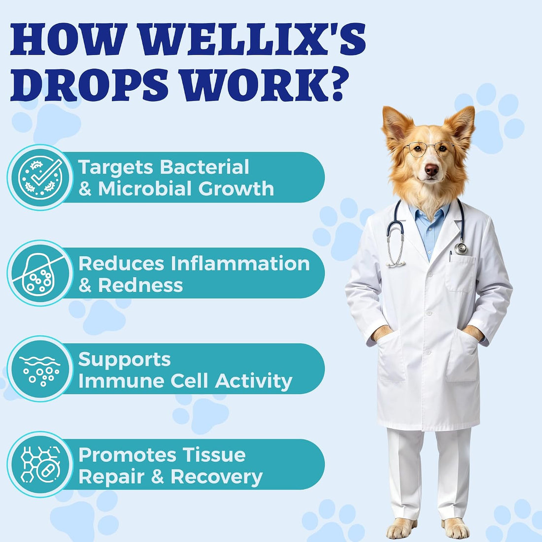 Wellix 120ml Natural Antibiotics for Cats&Dogs