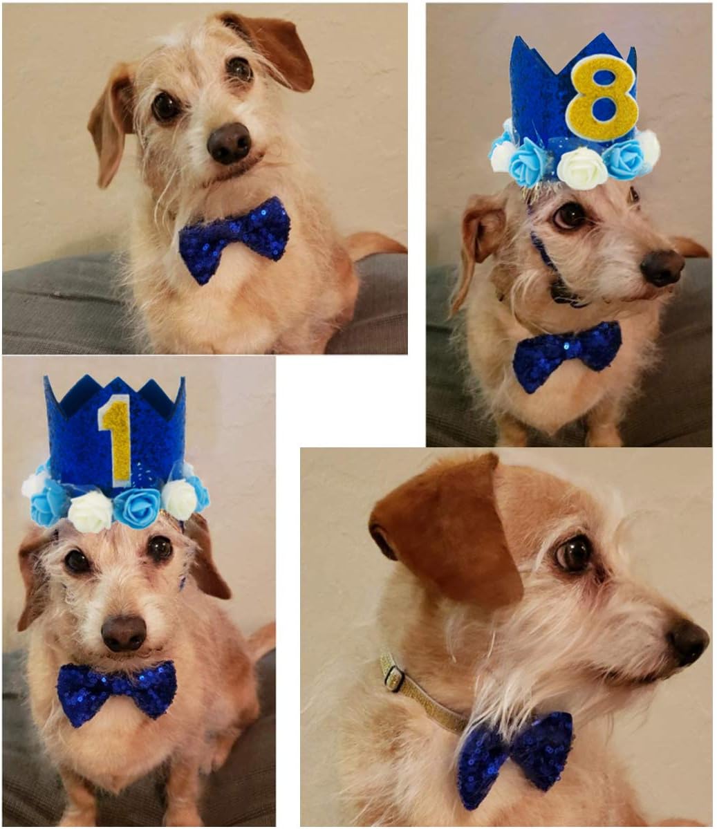 Dog Birthday Hat, Adjustable Gold Crown Hat with Numbers