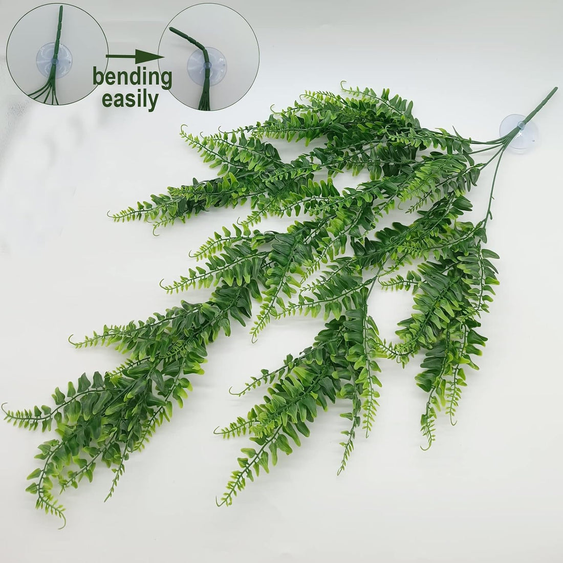 Reptile Plants for Bearded Dragon Tank Accessories