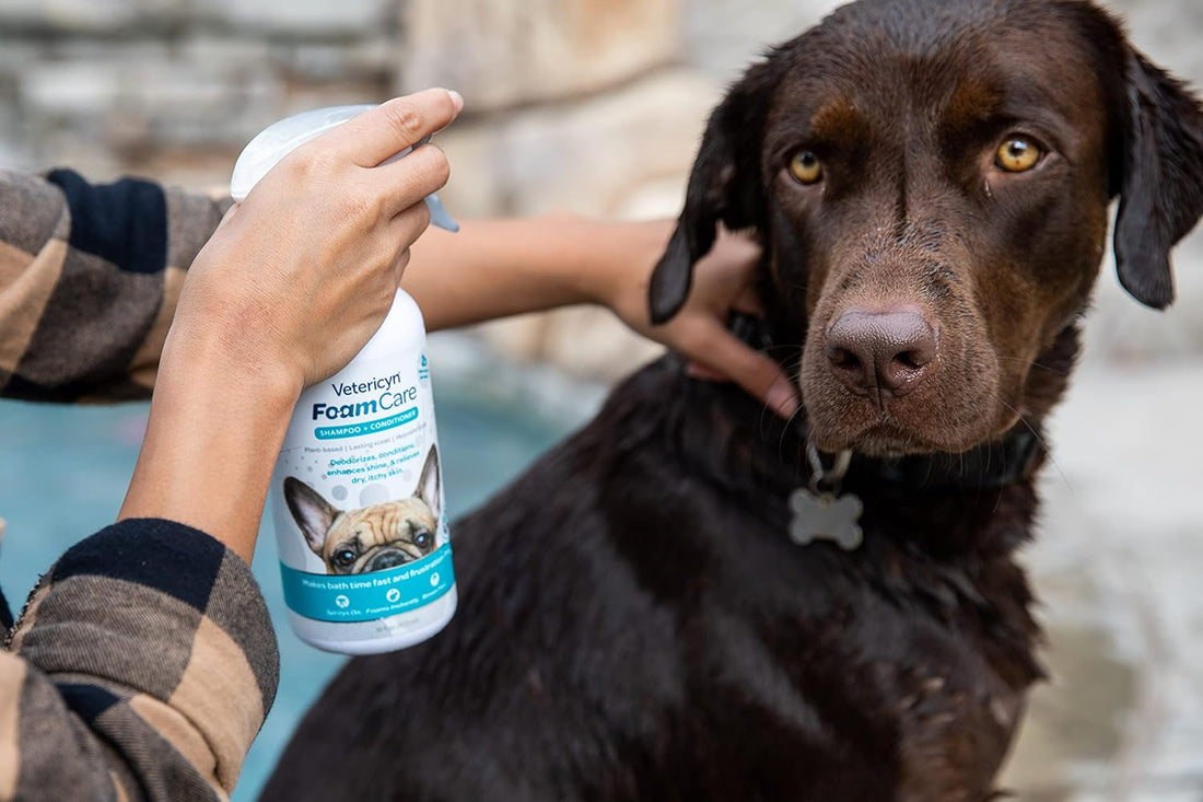 Vetericyn FoamCare Dog Shampoo and Conditioner - Instant Foaming
