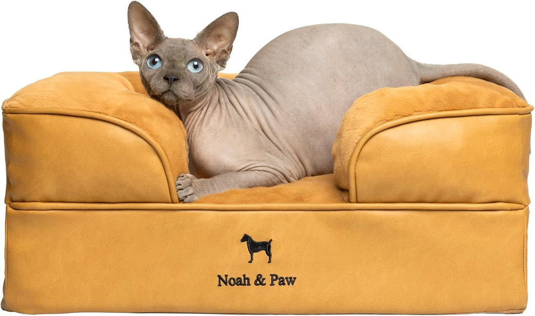NOAH & PAW XXL Dog Bed, Orthopedic Memory Cooling Foam 55x45x11in