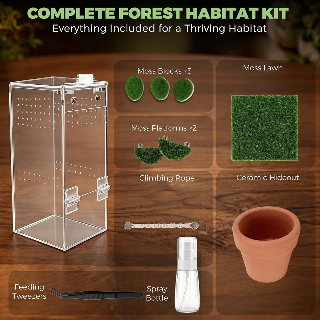 4"x4"x8" Acrylic Jumping Spider Enclosure Ready-to-Use No Assembly