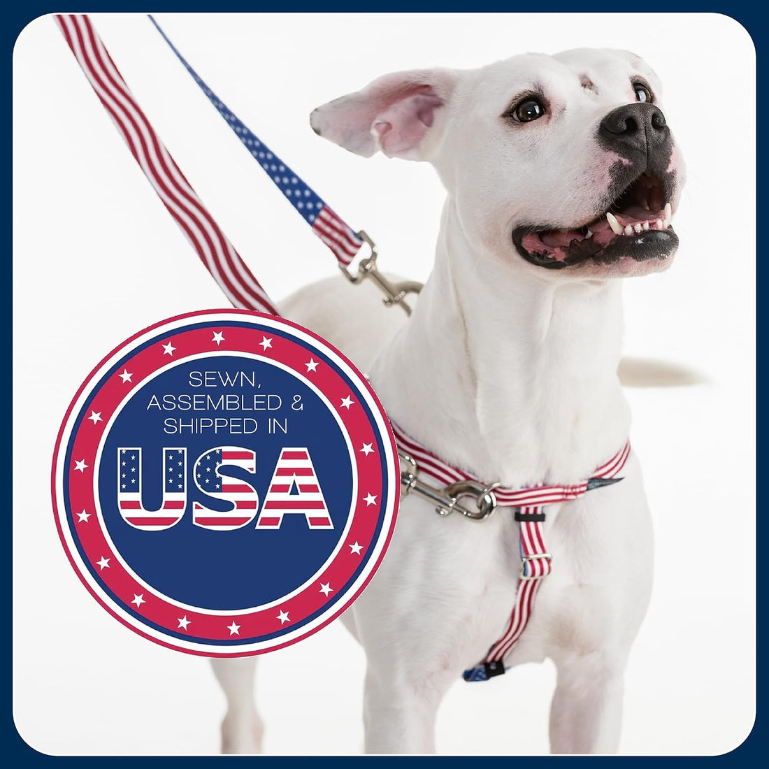 2 Hounds Design Freedom No Pull Dog Harness and Leash, 1" LG