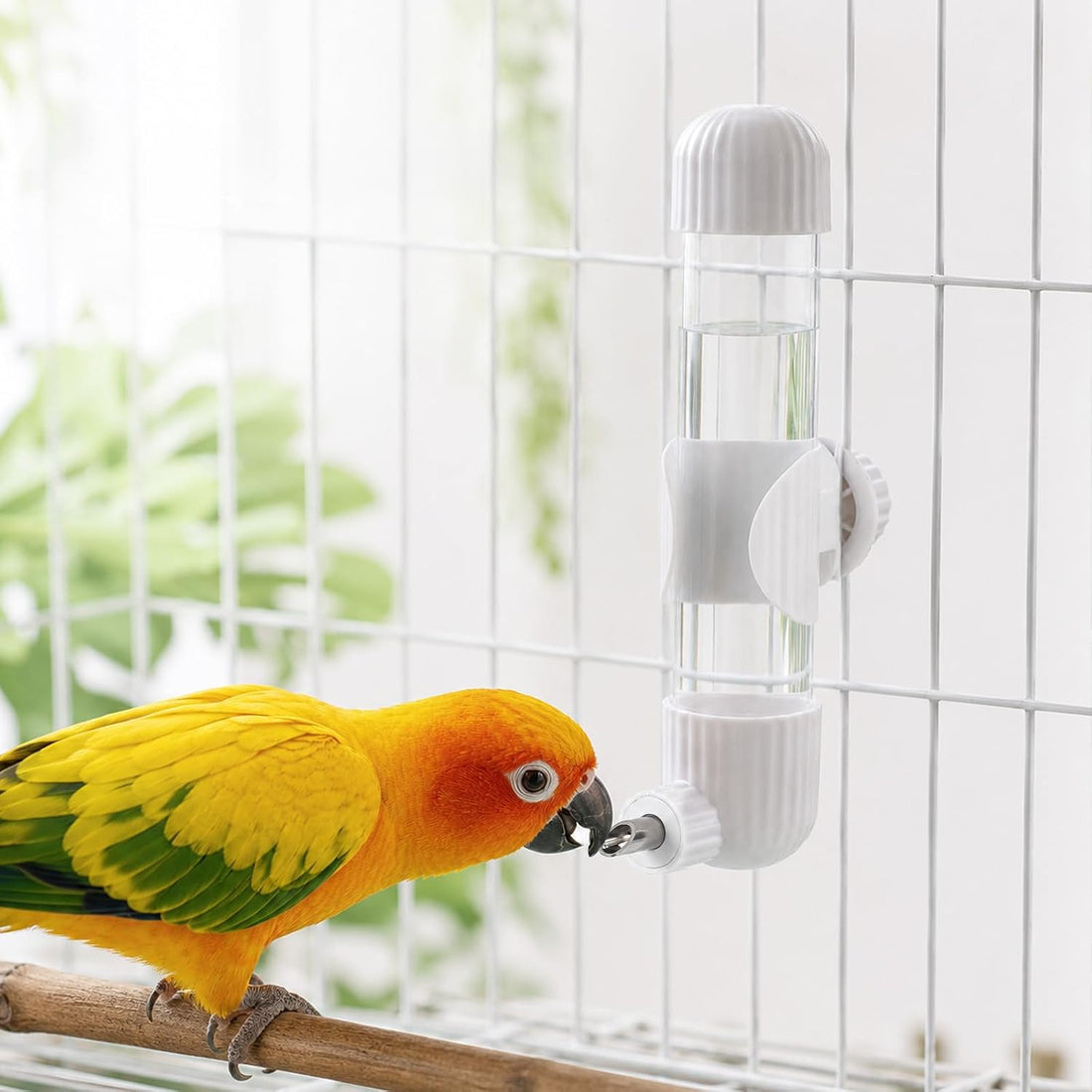 7.4 Fl Oz No Mess Bird Water Feeder, Auto Parrot Cage Water Dispenser