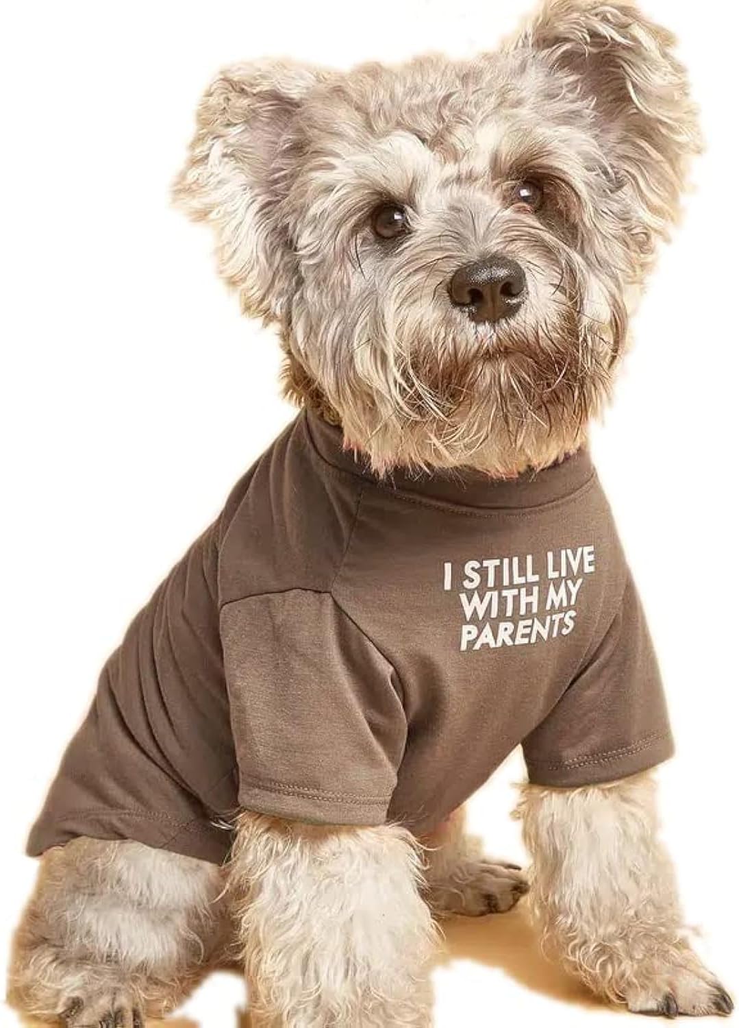 Cute Dog Clothes,Dog T Shirt for Medium and Small Girl Boy