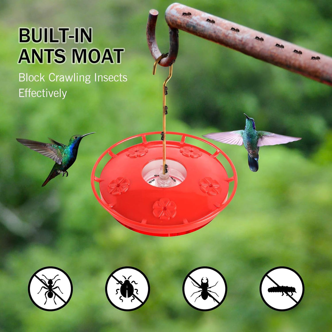 eWonLife Hummingbird Feeders for Outdoors