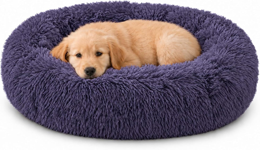 JOLLYVOGUE Calming Dog Bed Medium Size Dog