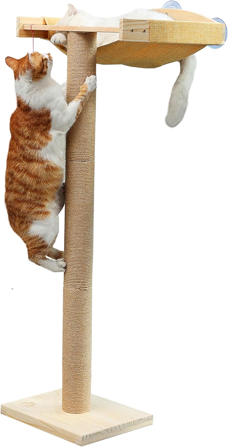 Cat Scratching Post with Large Window Perch