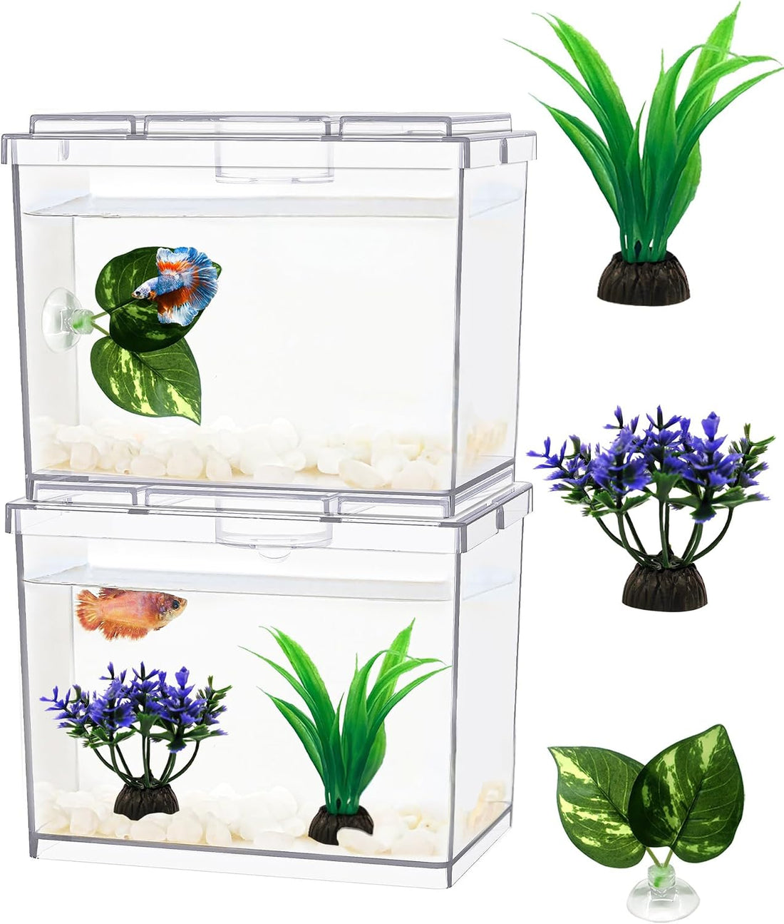 MoonOrange Mini Betta Fish Tank Kit with LED Light Base