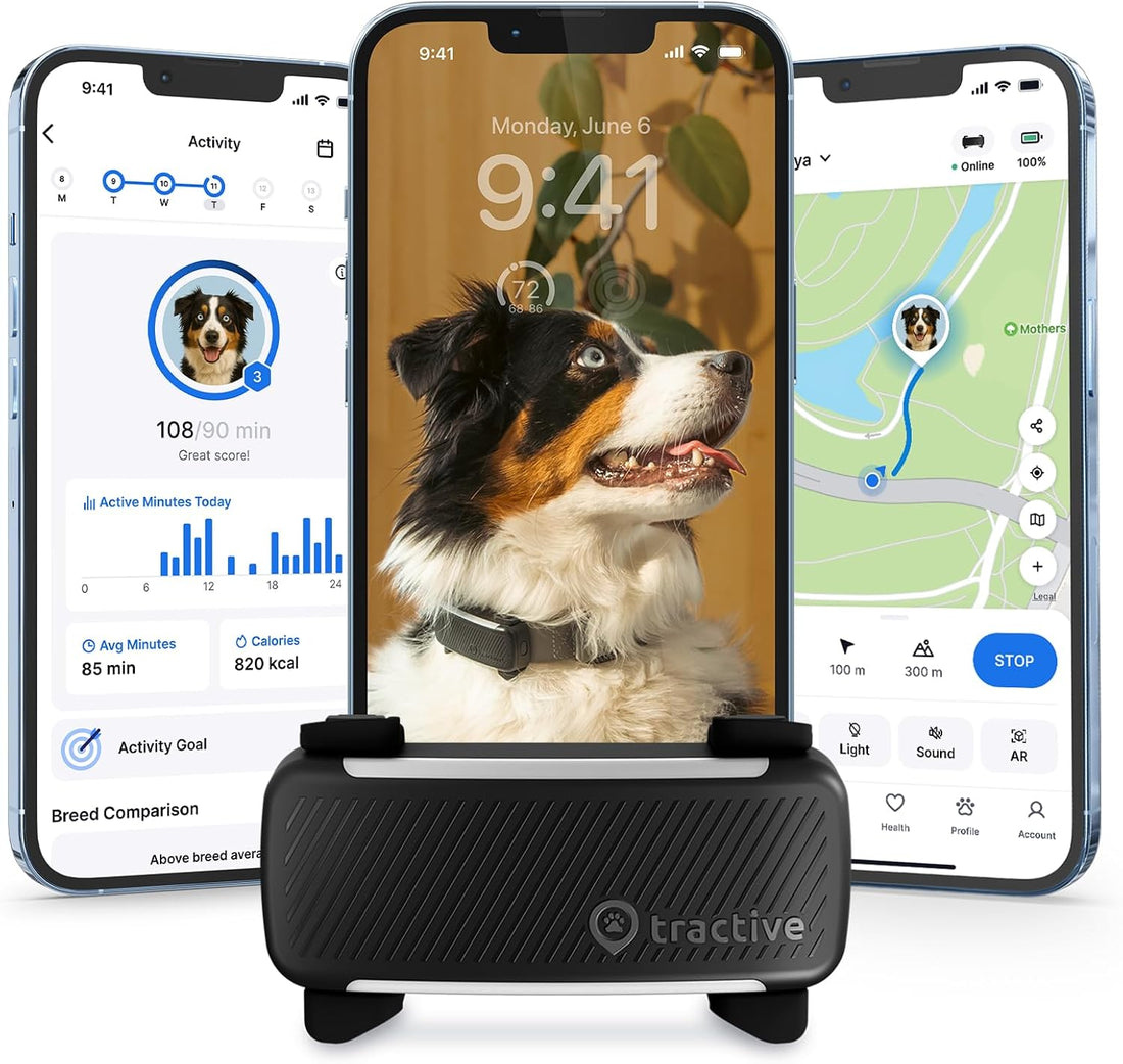 Tractive Smart Dog GPS Tracker | Live Pet Tracker with Virtual Fence