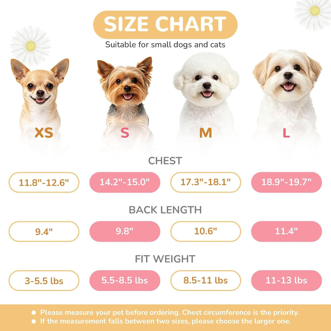 BAEJMJK Dog Dress Bowknot Harness Leash Set for Small Dogs Cats Daisy