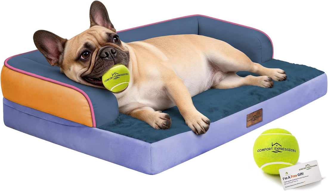 Comfort Expression Orthopedic XL Dog Bed for Large and Extra Large