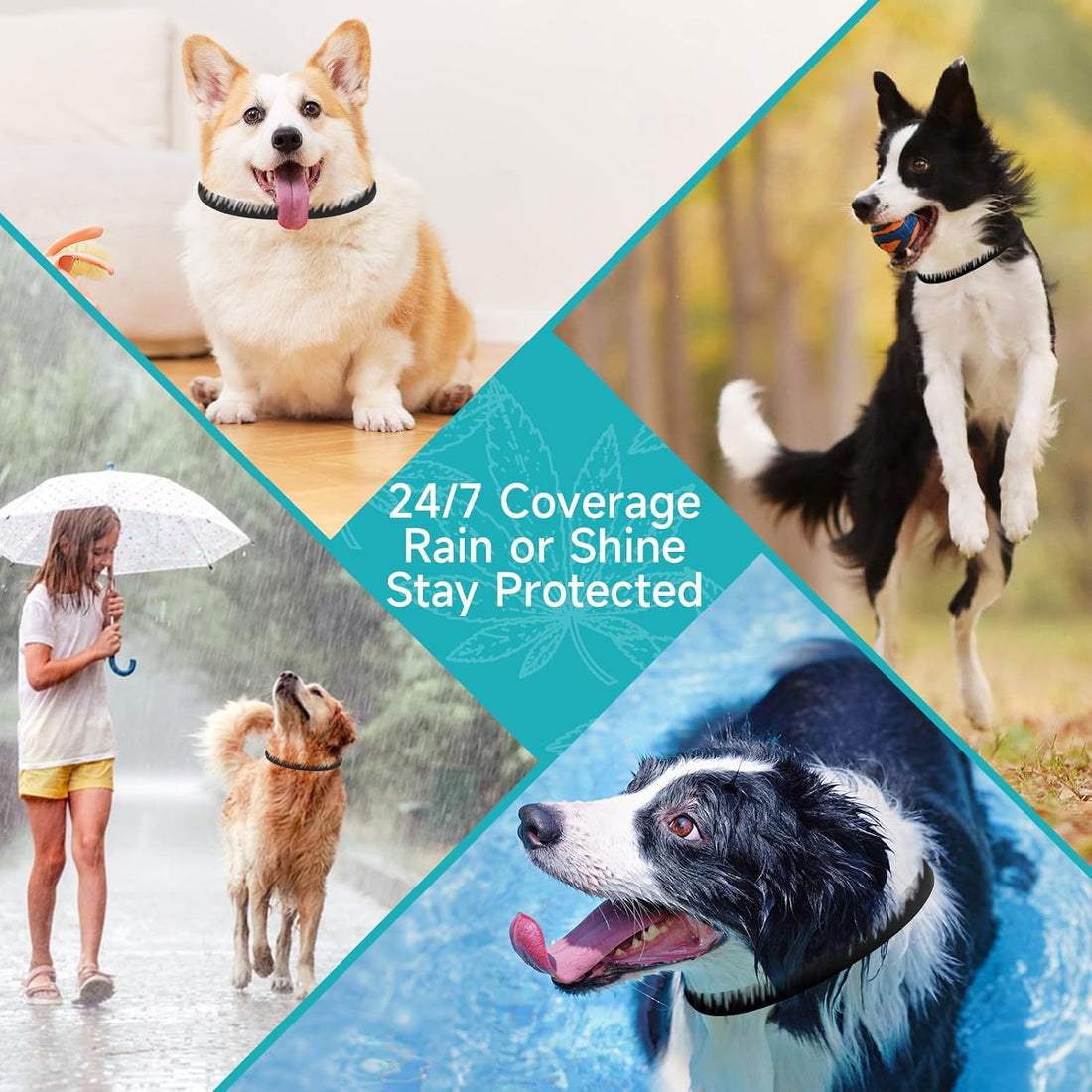 Flea and Tick Prevention for Dogs, 4-Pack Flea Collars