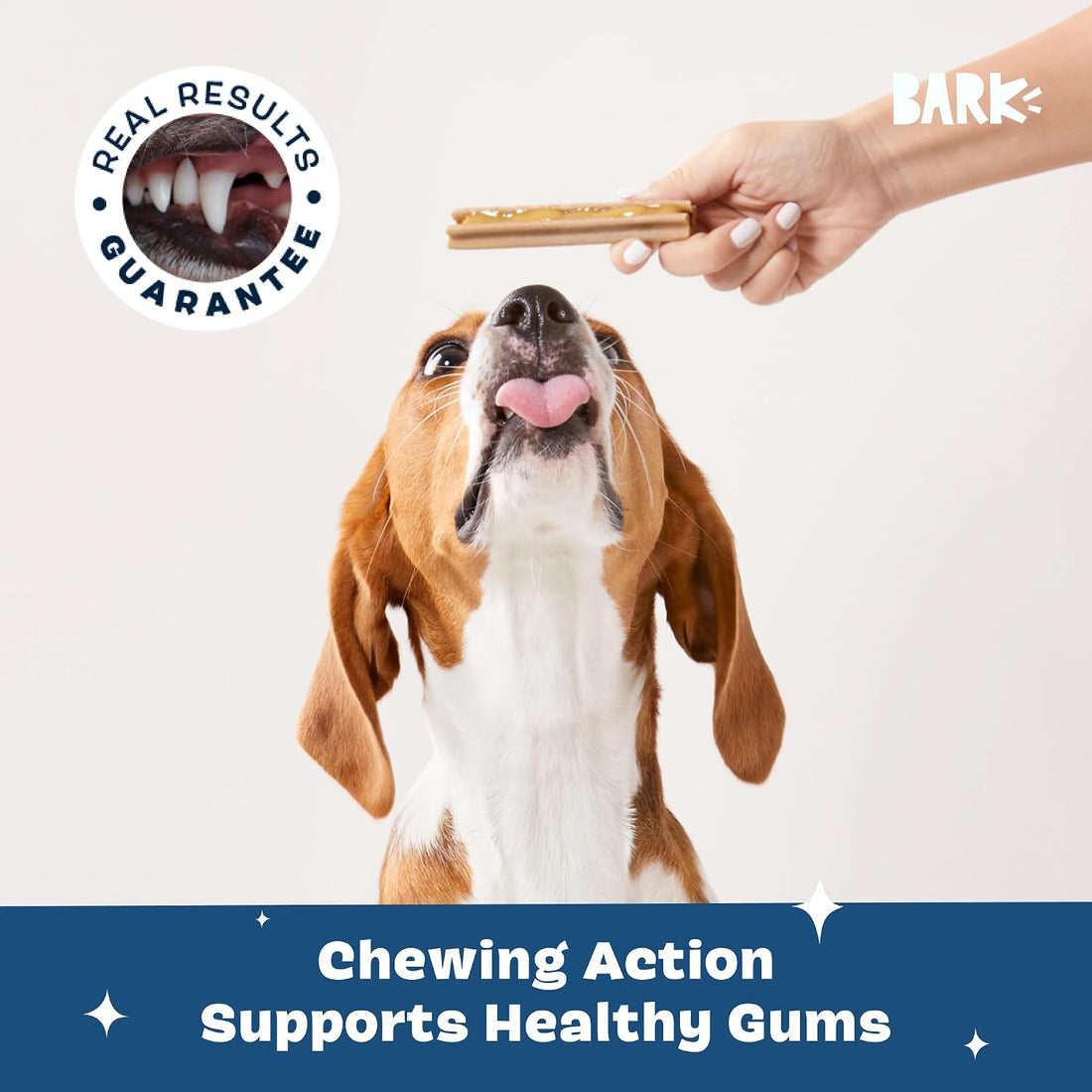Barkbox Bright Original Dog Dental Kit