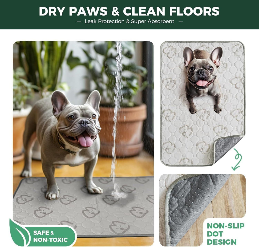 FXW Washable Pee Pads for Dogs, Super Absorbent