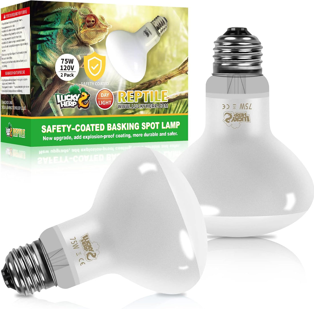 LUCKY HERP New Upgrade 3 Pack 100W Reptile Heat Lamp Bulb