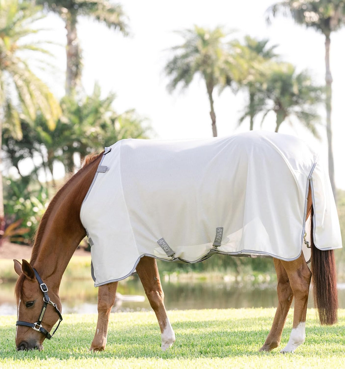 Horseware® Amigo® Bug Rug Fly Sheet - Silver/Titanium Grey & Silver