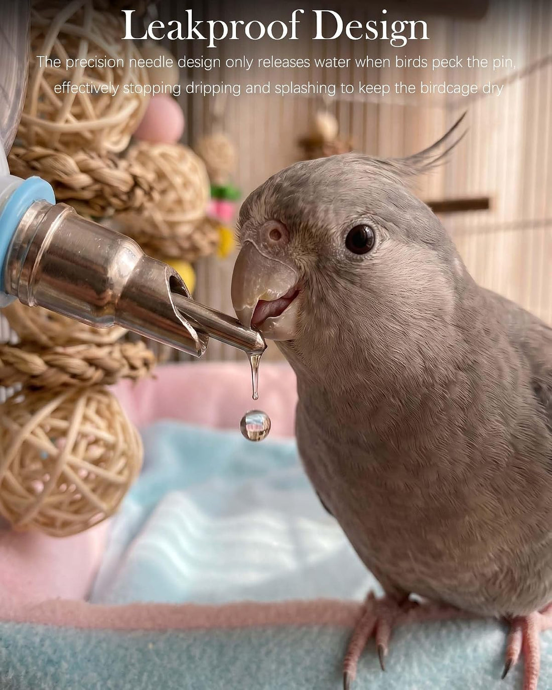 Parrot Needle Water Bottle, Leakproof Bird Automatic Water