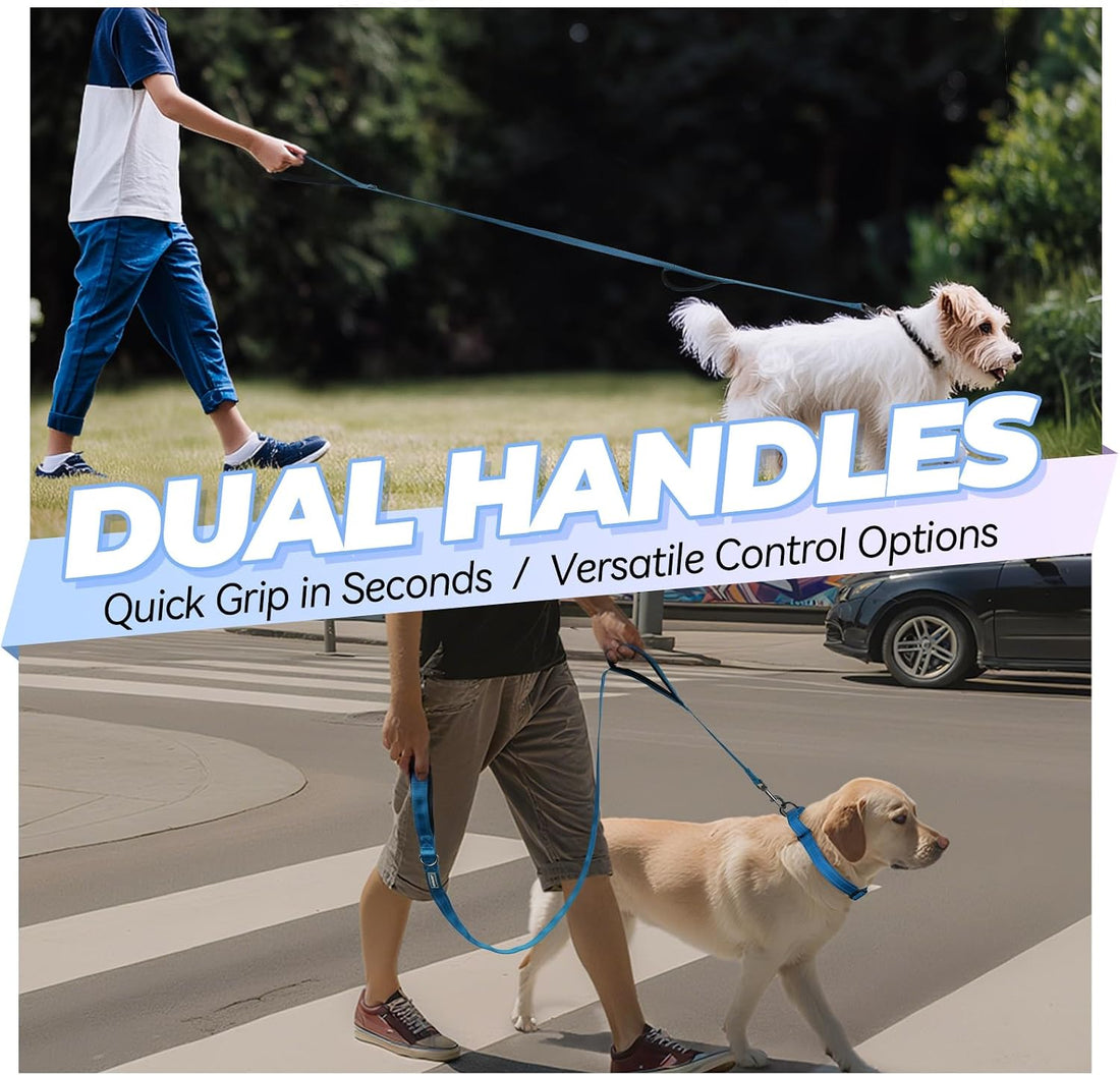 VIVAGLORY Double Handle Dog Leash Twingrip, 4ft x 1in