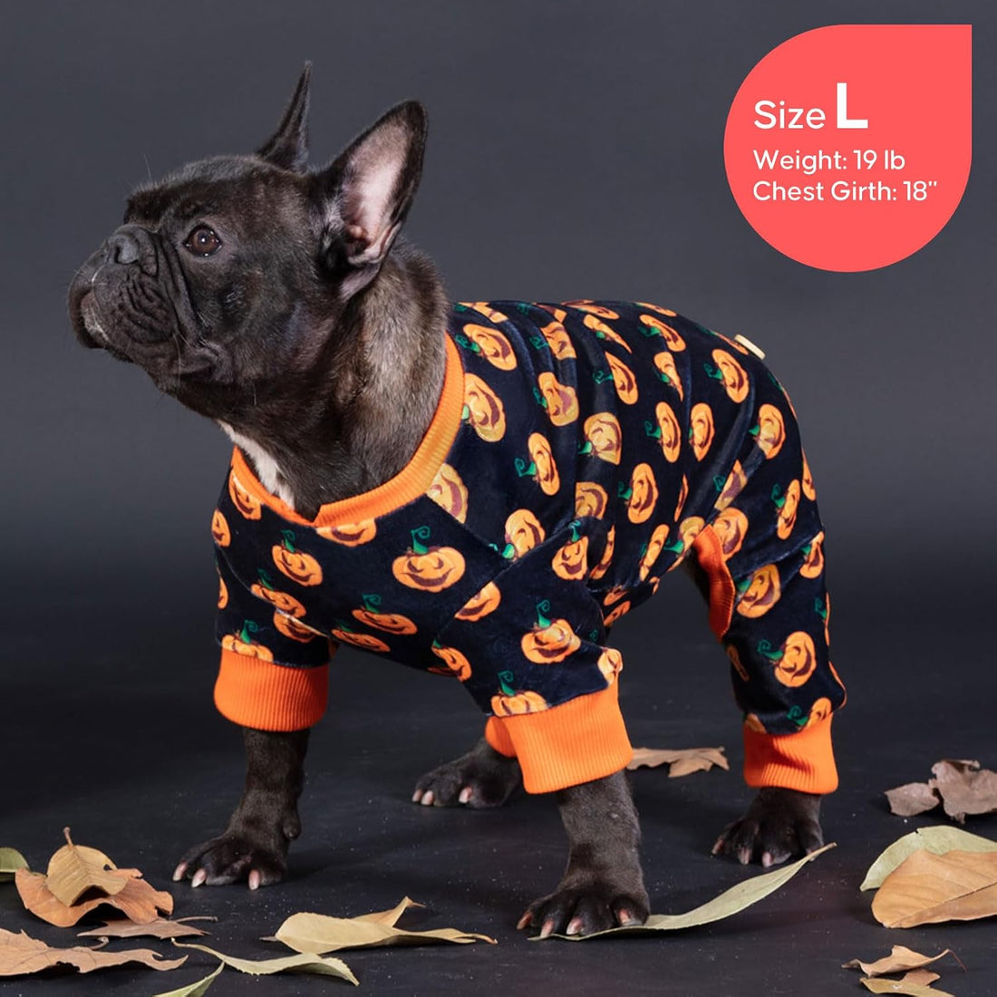 KYEESE Halloween Dog Pajamas for Medium Large Dog Onesie with Pumpkin