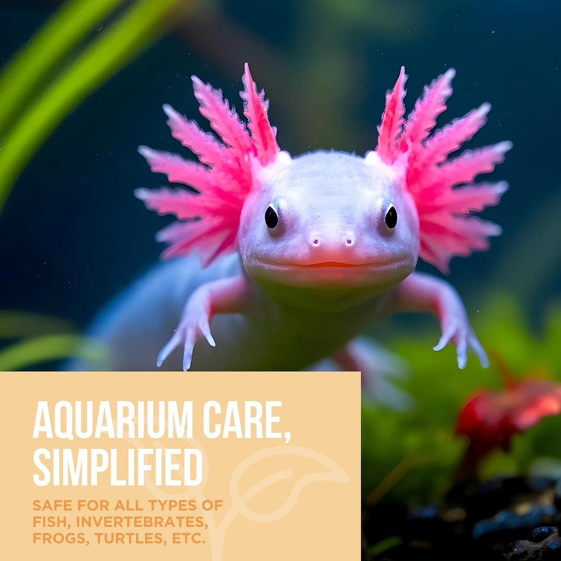 Natural Rapport Aquarium Water Conditioner, All-in-1 Dechlorinator