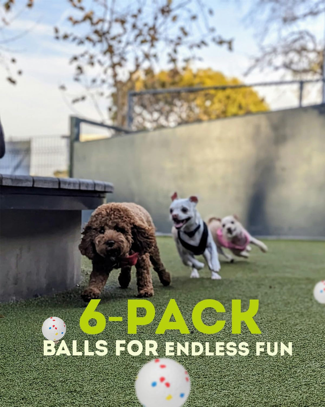 AIRSHOOTER 2.5" Dog Balls for Automatic Dog Ball Launcher