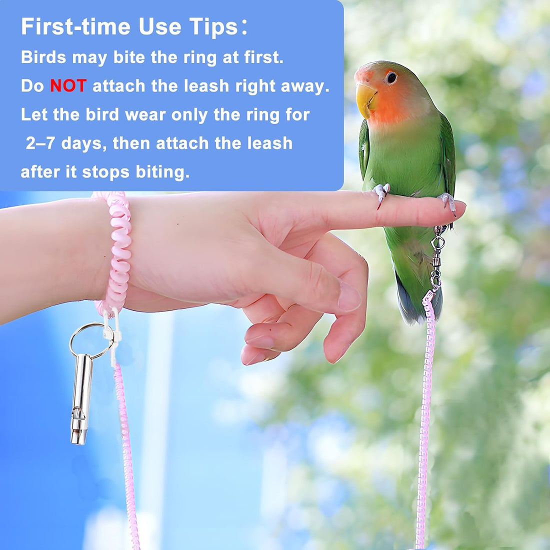 Parrot Flying Leash with 4 Size Foot Rings & Training Whistle