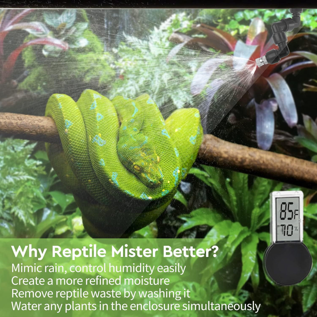 Moistenland Reptile Mister, Automatic Misting System for Reptile Tank