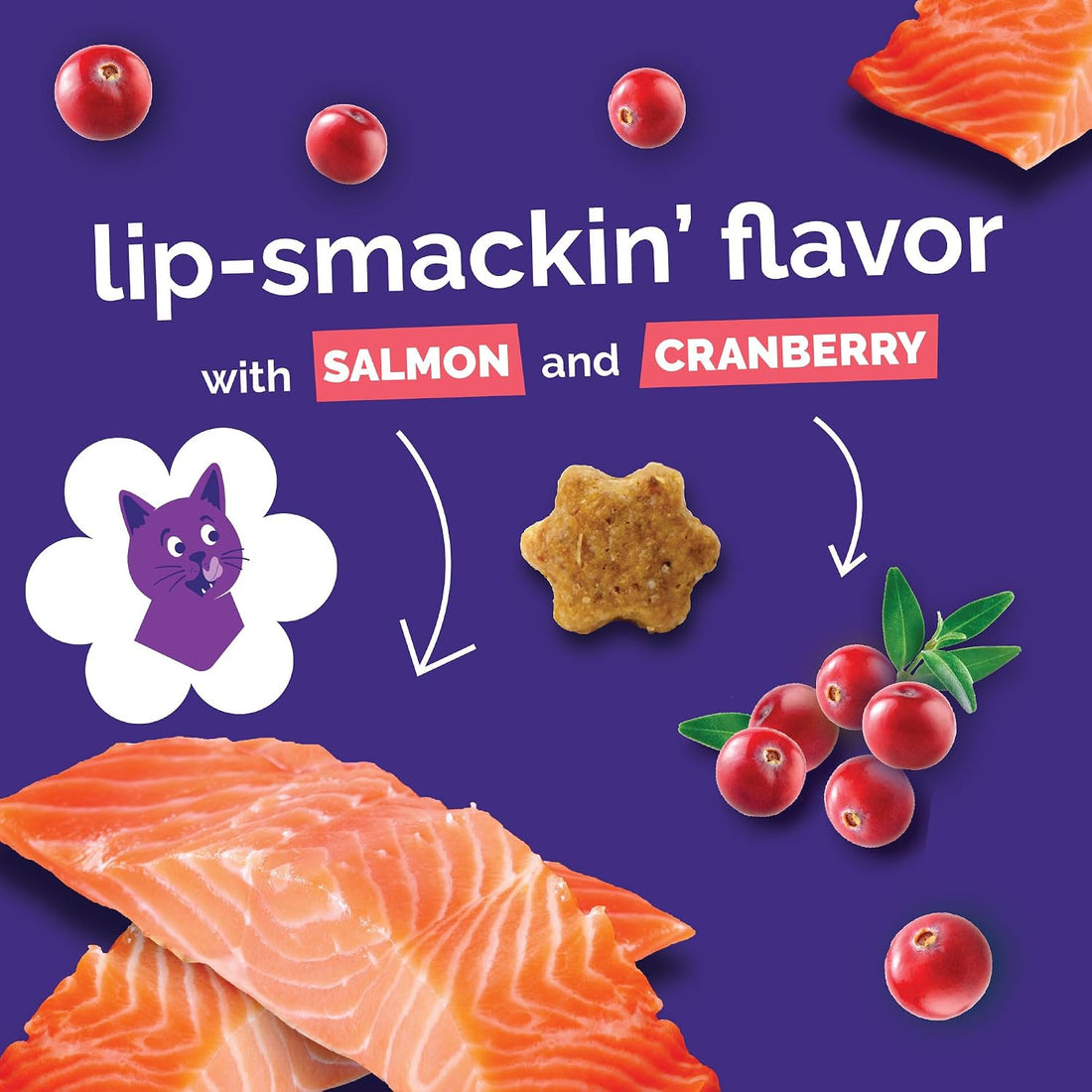 Fruitables Cat Treats - Crunchy Treats for Cats
