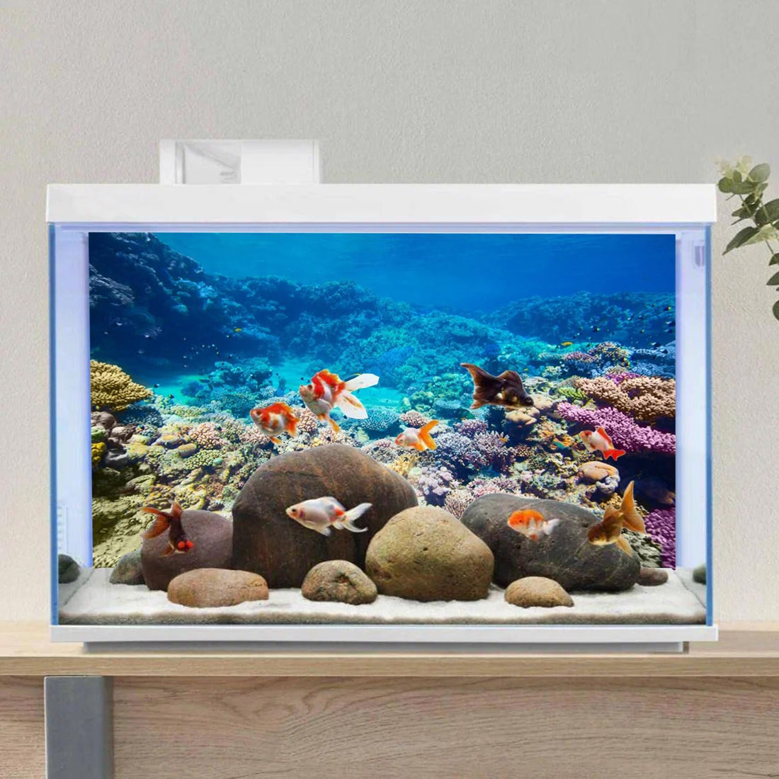 Aquarium Background Coral Tropical Undersea Fish Tank Backdrop 36x20