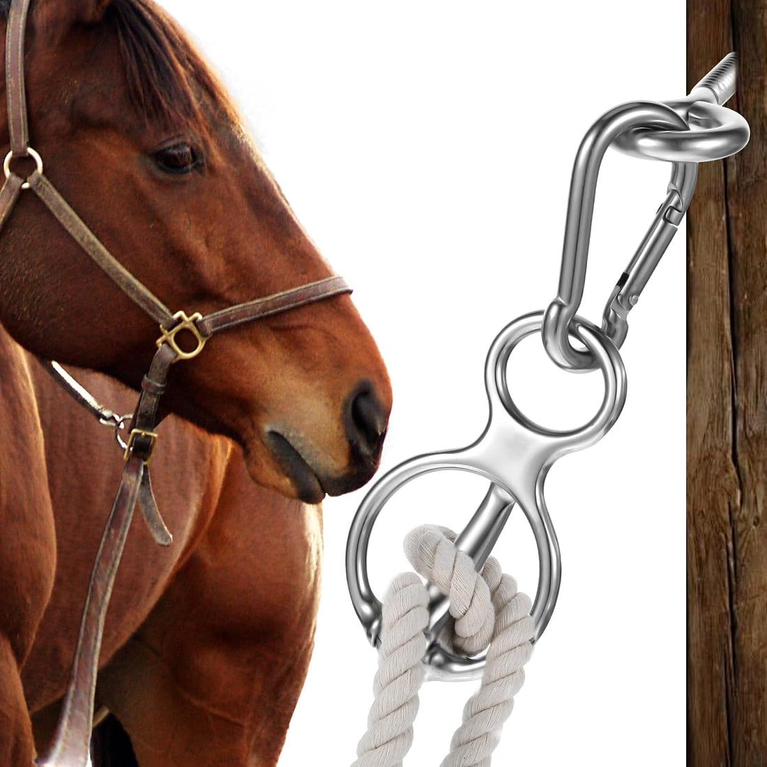 MAQUITA Horse Tie Ring, Safe Tie Horse Supplies, Humane Way Tie Ring