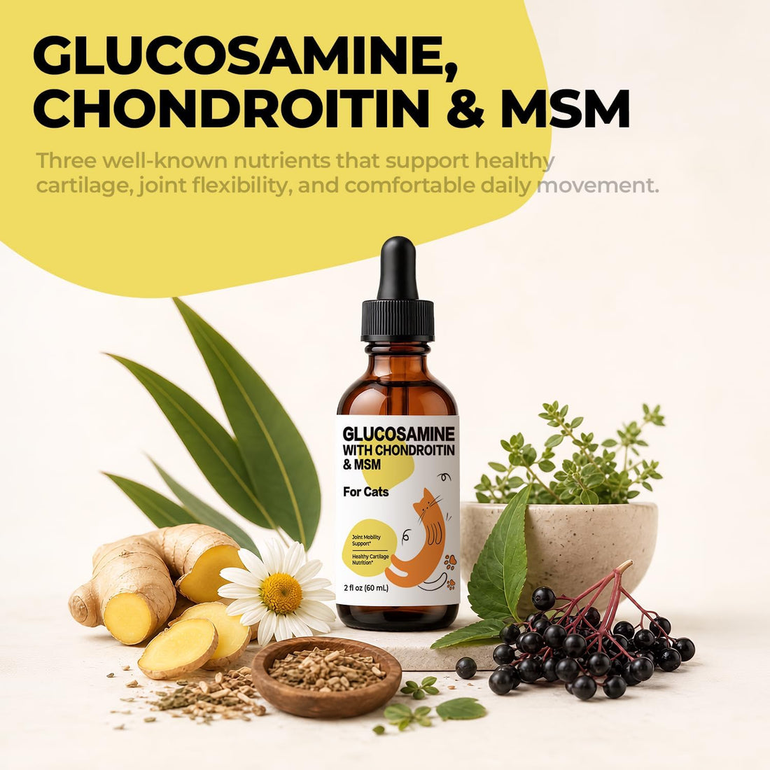 Glucosamine for Cats, Senior Hip & Joint Support