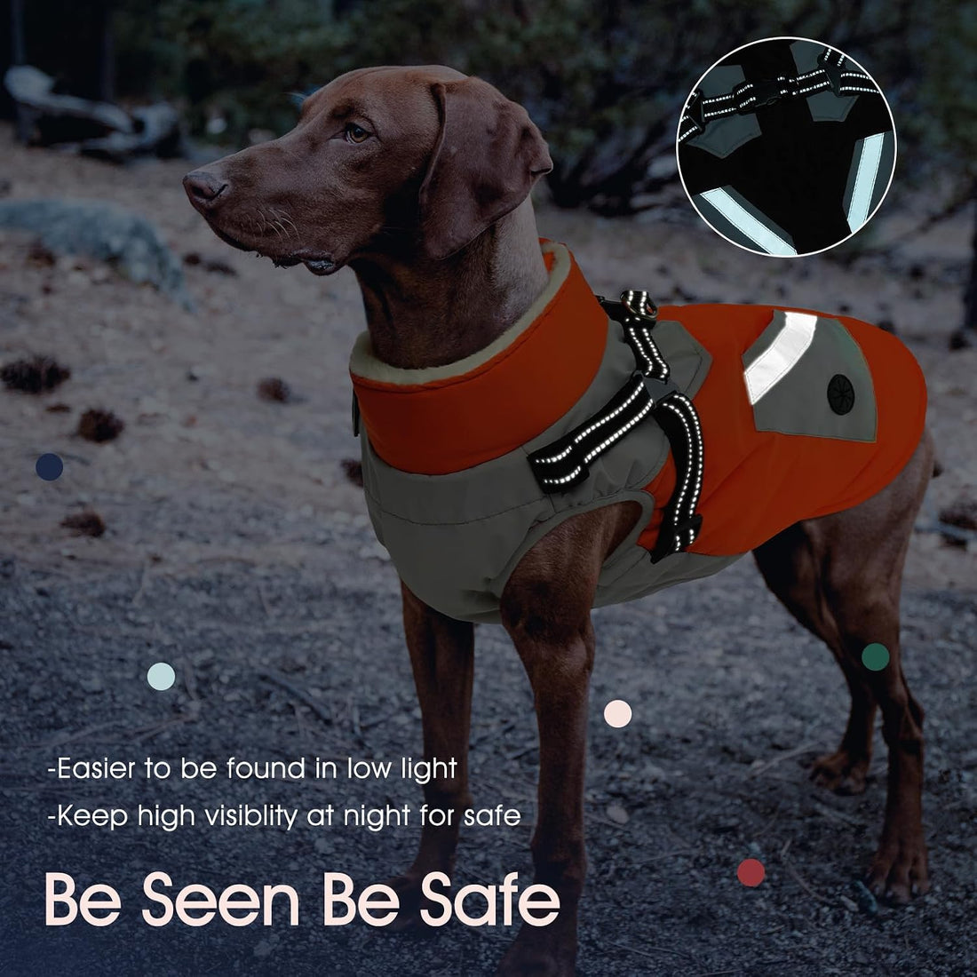 Dog Winter Coat Waterproof - Orange,Medium