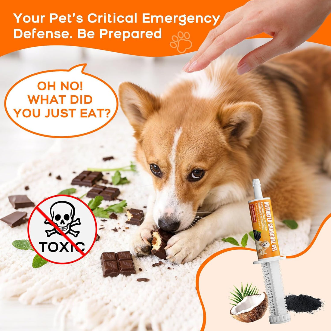 Wdelya Activated Charcoal for Dogs & Cats