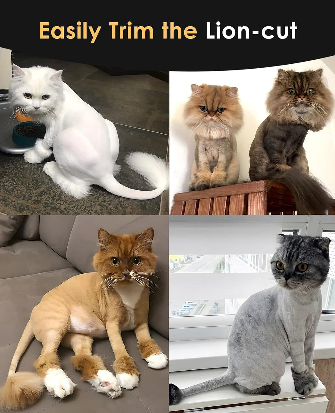 oneisall Cat Clippers with Blade Replacement