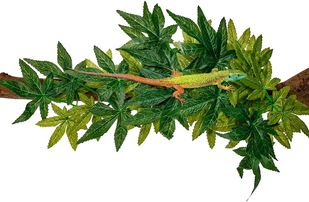 Reptile Plants Hanging Terrarium Plant Amphibian Habitat Decor
